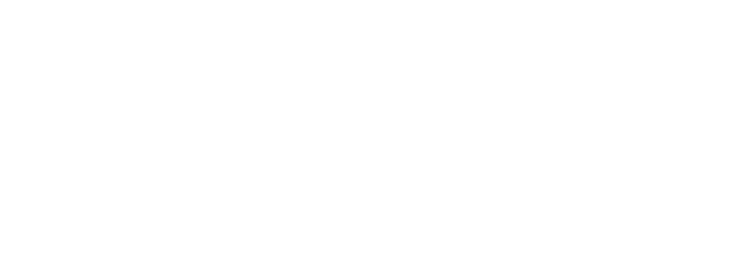 Bruce County Museum logo